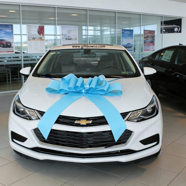 30-inch car ribbon –sky blue