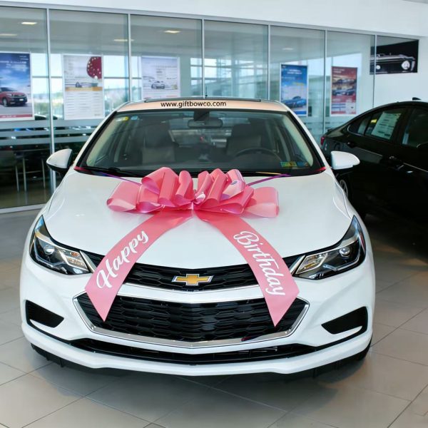 30 Inch "Happy Birthday" Car Bows-Pink-Style D