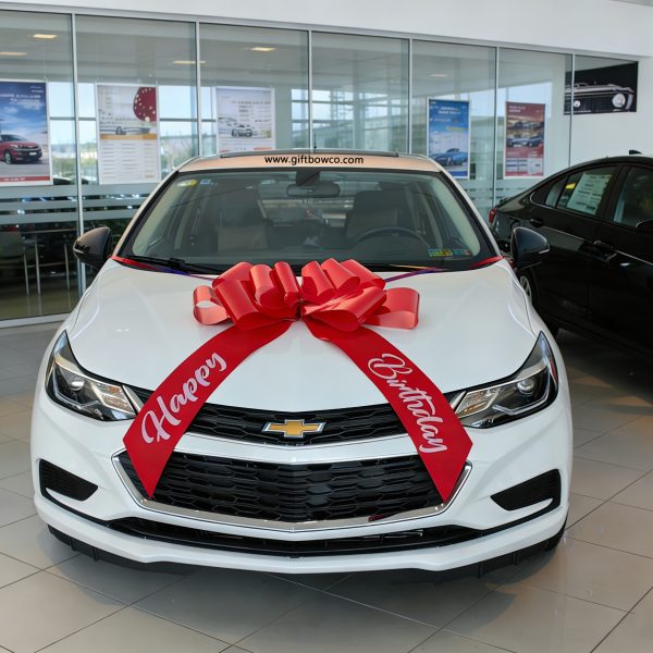 30 Inch "Happy Birthday" Car Bows-Red-Style D