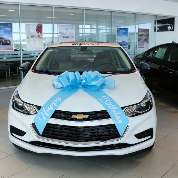 30 Inch "Happy Birthday" Car Bows-Sky Blue -Style D