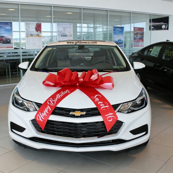 30 Inch “Sweet 16” Car Bows-Red-Style A