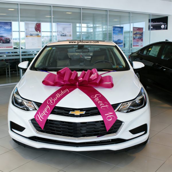 30 Inch “Sweet 16” Car Bows-Rose Red-Style A