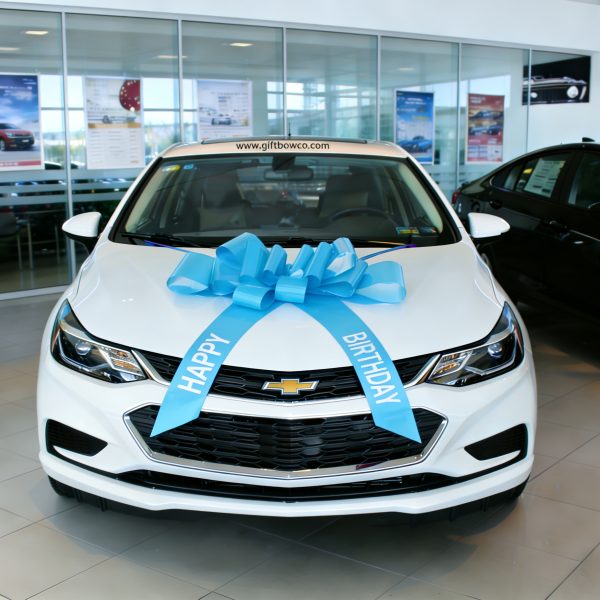 30 Inch “Happy Birthday” Car Bows-Sky Blue-Style C